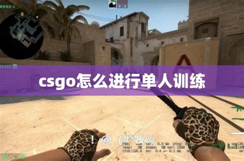 CS GO Learning 的图像结果