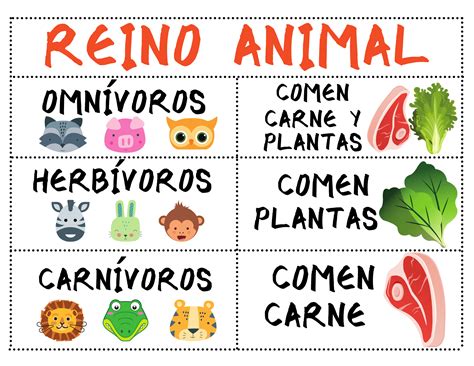 Reino animal – Artofit