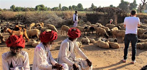 The Country Retreat Farmstay