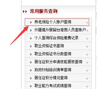 上海市个人社保证明可以在网上自行打印吗？附打印操作流程_办事百科