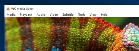 VLC Tutorial 的图像结果