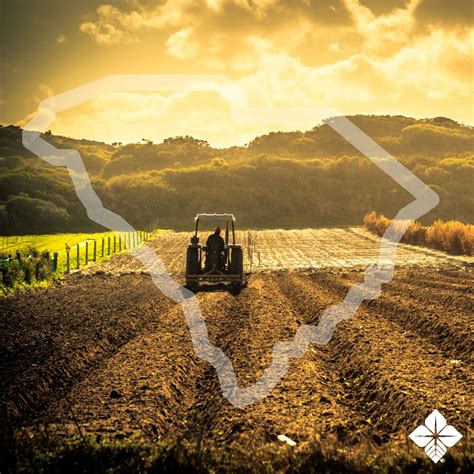 AgFirst Farm Credit Bank on LinkedIn: #dyk #agfirst #southcarolina # ...