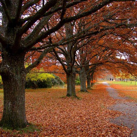 Gallery - Prime Technologies