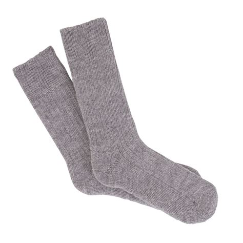 socks 的图像结果
