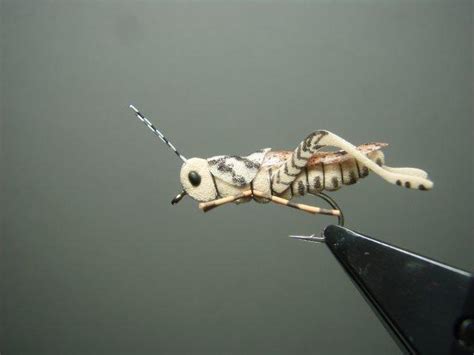 Image result for Tying Parachute Hopper Patterns