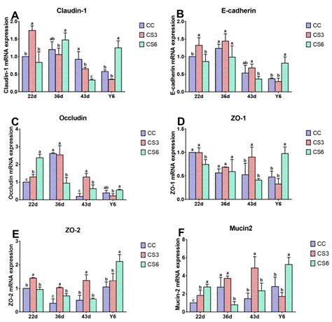 Intermittent and Mild Cold Stimulation Maintains the Immune Function ...