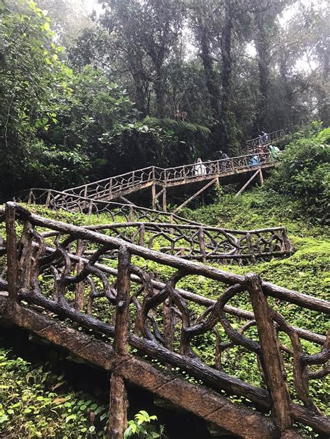 CENTRO TURISTICO RIO CELESTE (Tenorio Volcano National Park) - Inn ...