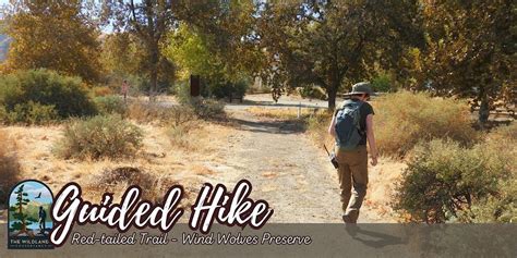 Sunset Stroll: Red-Tailed Trail Guided Hike - Wind Wolves Preserve ...