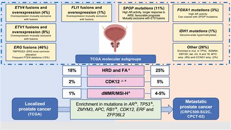 Molecular Genetics of Prostate Cancer and Role of Genomic Testing - Surgical Pathology Clinics