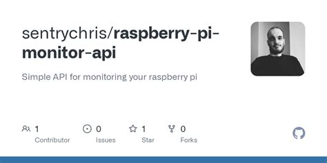 Raspberry Pi API 的图像结果