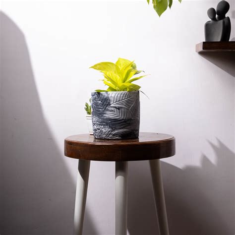 Frond-Nero Marble-Leaf Imprint Planter, features an Embossed Leaves te ...