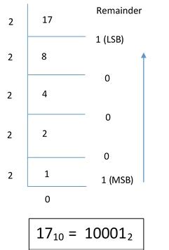Decimal to Binary Using for Loop in C 的图像结果
