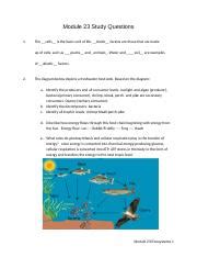 Image result for Module 23