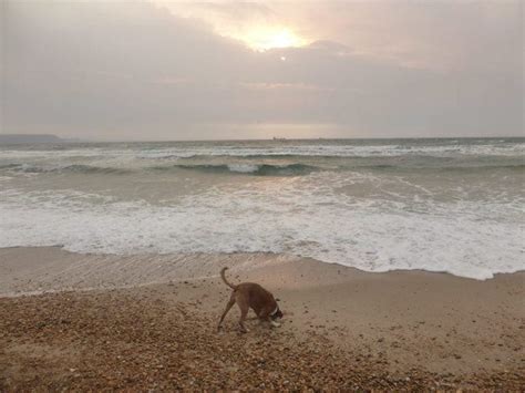 K-Fold Cross-Validation Python 的图像结果