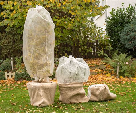 How to protect container plants from winter weather | Homes and Gardens