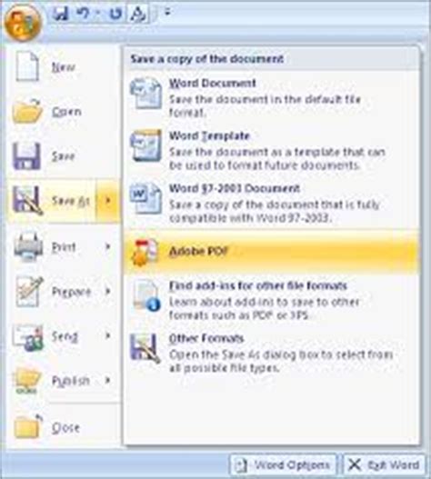How to Convert a PDF File to a Microsoft Office Word 2007 的图像结果