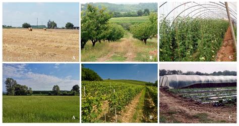 Linking Multifunctionality and Sustainability for Valuing Peri-Urban ...