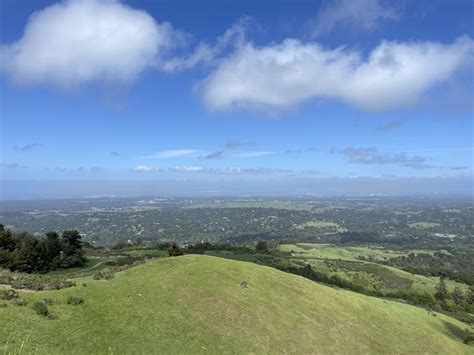 Windy Hill Preserve | Dependent Origination