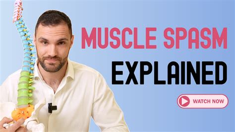 Lower Back Muscle Spasm 的图像结果