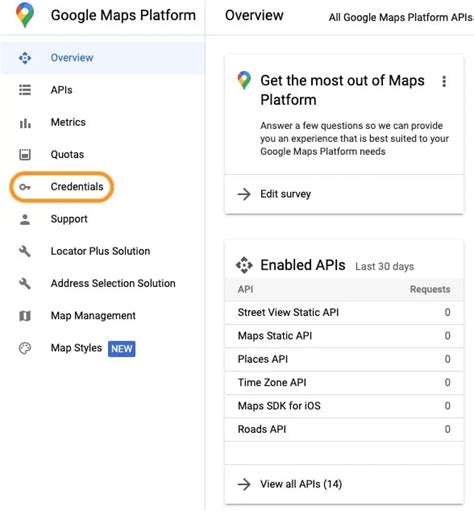Image result for Google API Maps Web Page