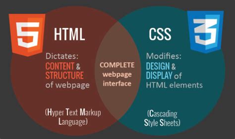 HTML vs CSS: Sự khác biệt là gì? | TeckTrending