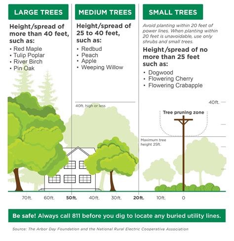 RIGHT-OF-WAY | New-Mac Electric Cooperative