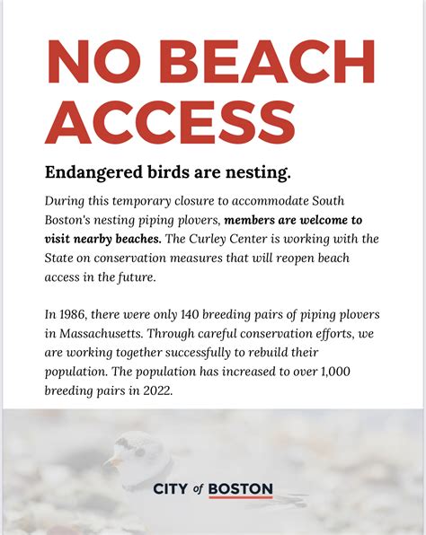 Update: The Beach at the Curley Community Center will Reopen Tuesday ...