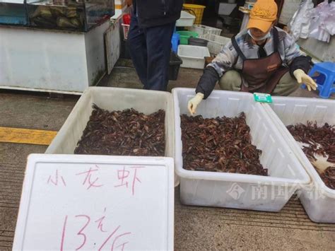 广西沿海进入休渔期，柳州海鲜价格上涨，不过这些食材正降价_腾讯新闻