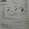 NCERT class 7 Science Chapter 1 nutrition in plants question and ...