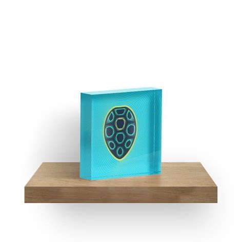 Image result for Turtle Shell Geometry