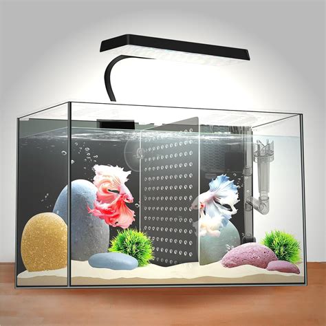 3 Gallon 12.6” L Fish Nano Glass Aquarium, with Separator Plate for ...