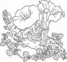 blumen ausmalbilder erwachsene ausmalbilder pflanzen kostenlos malvorlagen blumen blumen ausmalbilder erwachsene ausmalbilder pflanzen kostenlos malvorlagen blumen