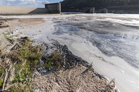 Pollution 的图像结果