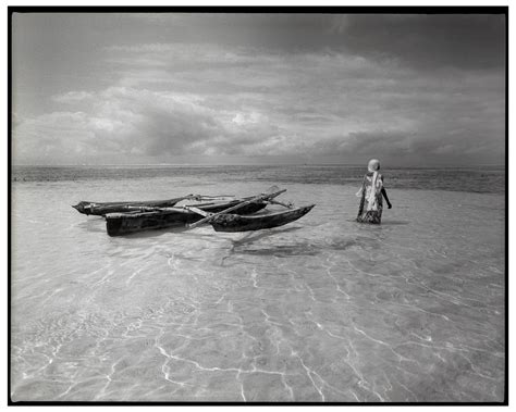 Zanzibar — Tariq Tarey