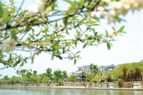 烟花三月下扬州，春暖花开游江南-扬州旅游攻略-游记-去哪儿攻略