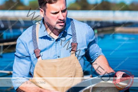 How to Start Fish Farming 的图像结果