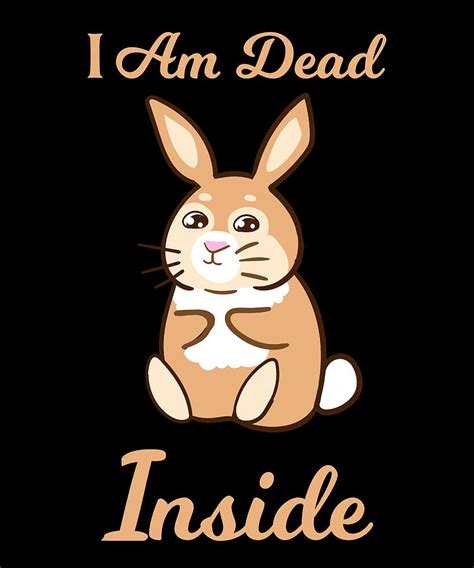 Image result for Monty Python Rabbit Meme