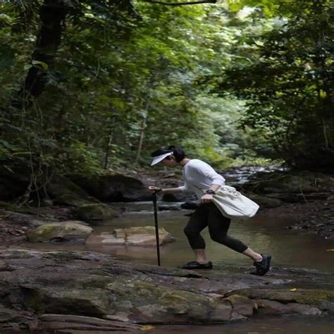 Bastones para caminar de 37 pulgadas que garantizan que cada paso sea ...