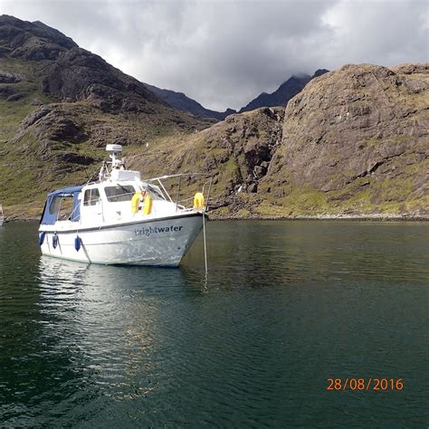 SEADOGS (2025) All You Need to Know BEFORE You Go (with Photos ...