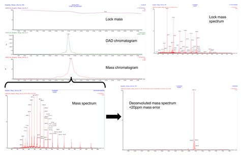Intact Protein Deconvolution Chromeleon 的图像结果