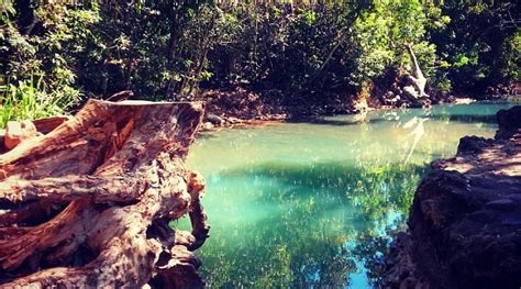 Cardwell Tourism (2023): Best of Cardwell, Australia - Tripadvisor