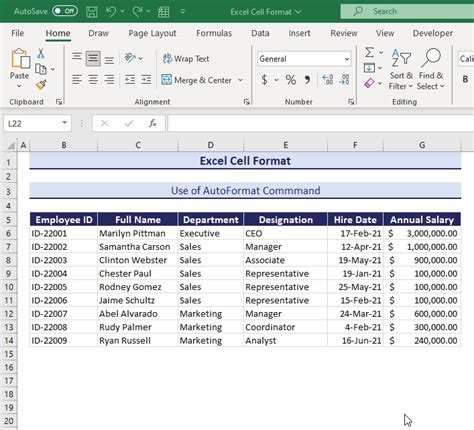 Image result for AutoFormat Excel