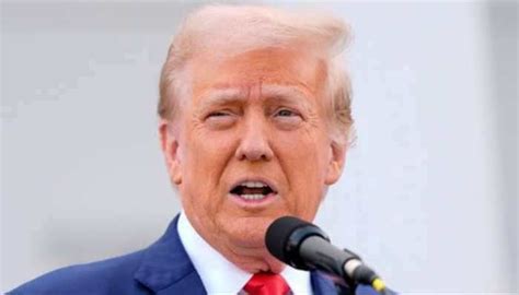 Trump Signs Order Seeking Major Overhaul Of US Elections — What Will Be ...