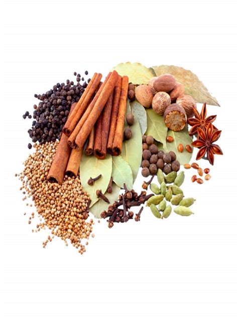 Premium Spices for Flavor & Freshness | Farmonics