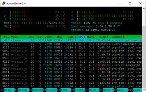 CPU Kernel 的图像结果