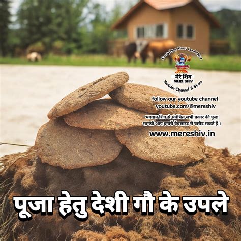 Desi Cow Dung Cake पूजा के लिए देशी गौ गोबर के उपले 7 Piece Packing ...
