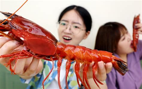 试吃1080元的“西班牙红魔虾”顶级刺身食材！一口下去鲜掉眉毛！| 吃货小伟