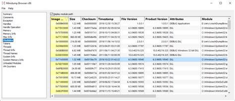 Rezultat imagine pentru View Minidump File