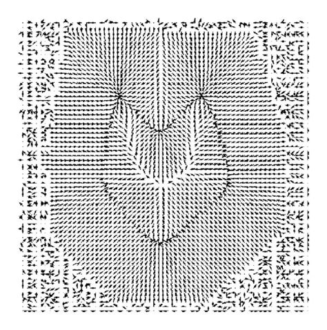 Image result for Field Implementation Vector Image