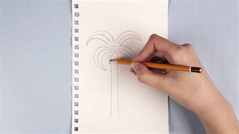 Image result for Simple Tree Drawing